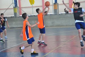 .:: foto_20081_45774.jpg ::.