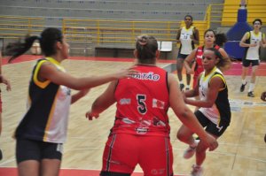 .:: foto_20627_46555.jpg ::.