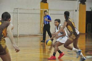 .:: foto_20653_46570.jpg ::.