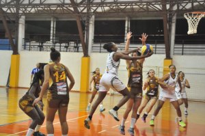 .:: foto_20653_46580.jpg ::.