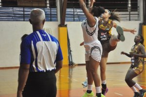 .:: foto_20656_46593.jpg ::.