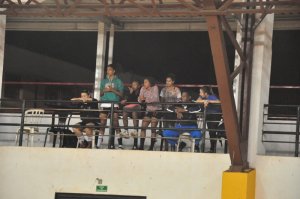 .:: foto_20656_46601.jpg ::.