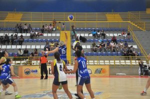 .:: foto_20713_46664.jpg ::.