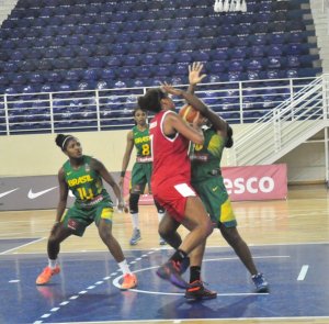 .:: foto_21086_46812.jpg ::.