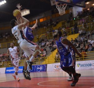 .:: foto_21514_47268.jpg ::.