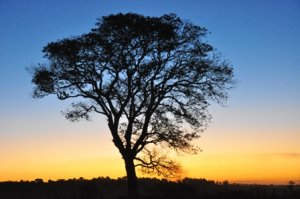 .:: foto_21562_47277.jpg ::.