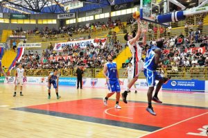 .:: foto_21708_47433.jpg ::.