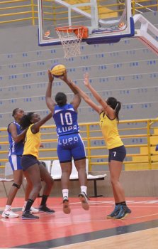 .:: foto_22371_48107.jpg ::.