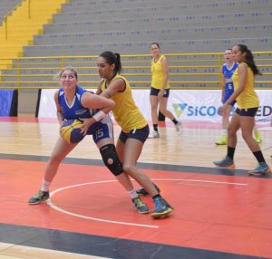 .:: foto_22371_48116.jpg ::.