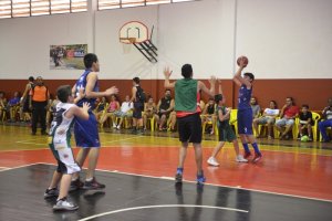 .:: foto_22480_48160.jpg ::.