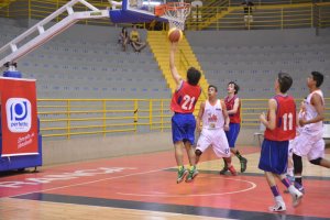 .:: foto_22481_48174.jpg ::.