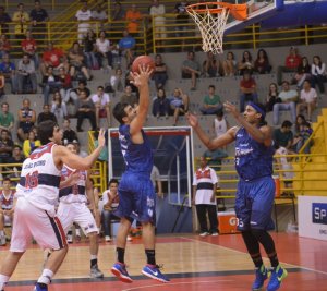 .:: foto_22793_48742.jpg ::.