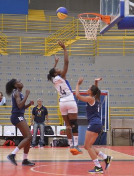 .:: foto_22891_48936.jpg ::.