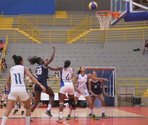 .:: foto_22891_48944.jpg ::.