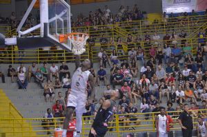 .:: foto_38962_65221.jpg ::.