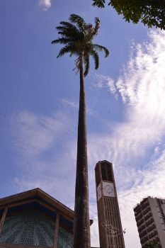 .:: foto_39429_66405.jpg ::.