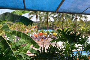 .:: foto_39429_66408.jpg ::.