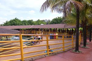 .:: foto_39429_66410.jpg ::.