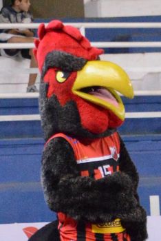 .:: foto_39701_66786.jpg ::.