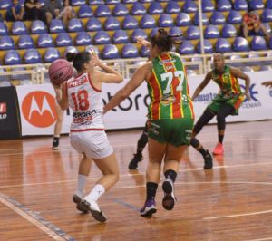 .:: foto_39799_66971.jpg ::.