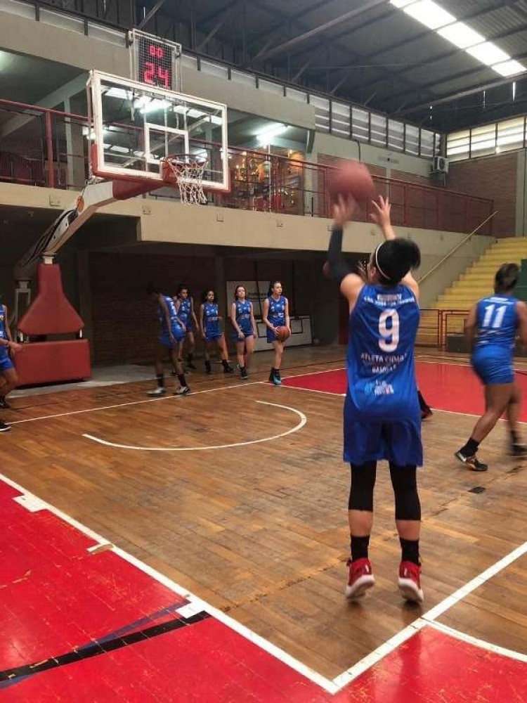 .:: pinda_estreia_com_vitoria_no_paulista_sub_19_feminino_de_basquete_67823.jpg ::.