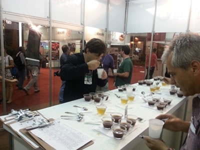 .:: foto_18254_44156.jpg ::.