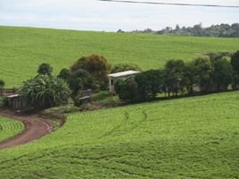 Temer sanciona prazo maior para registro no Cadastro Ambiental Rural