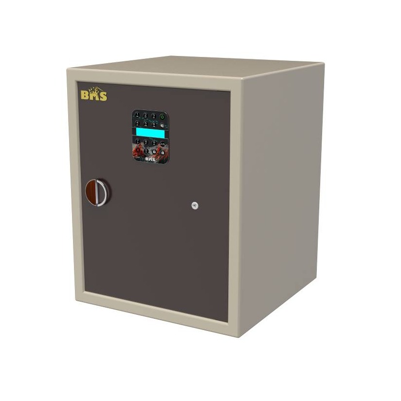 Grand password protected home Jewellery locker