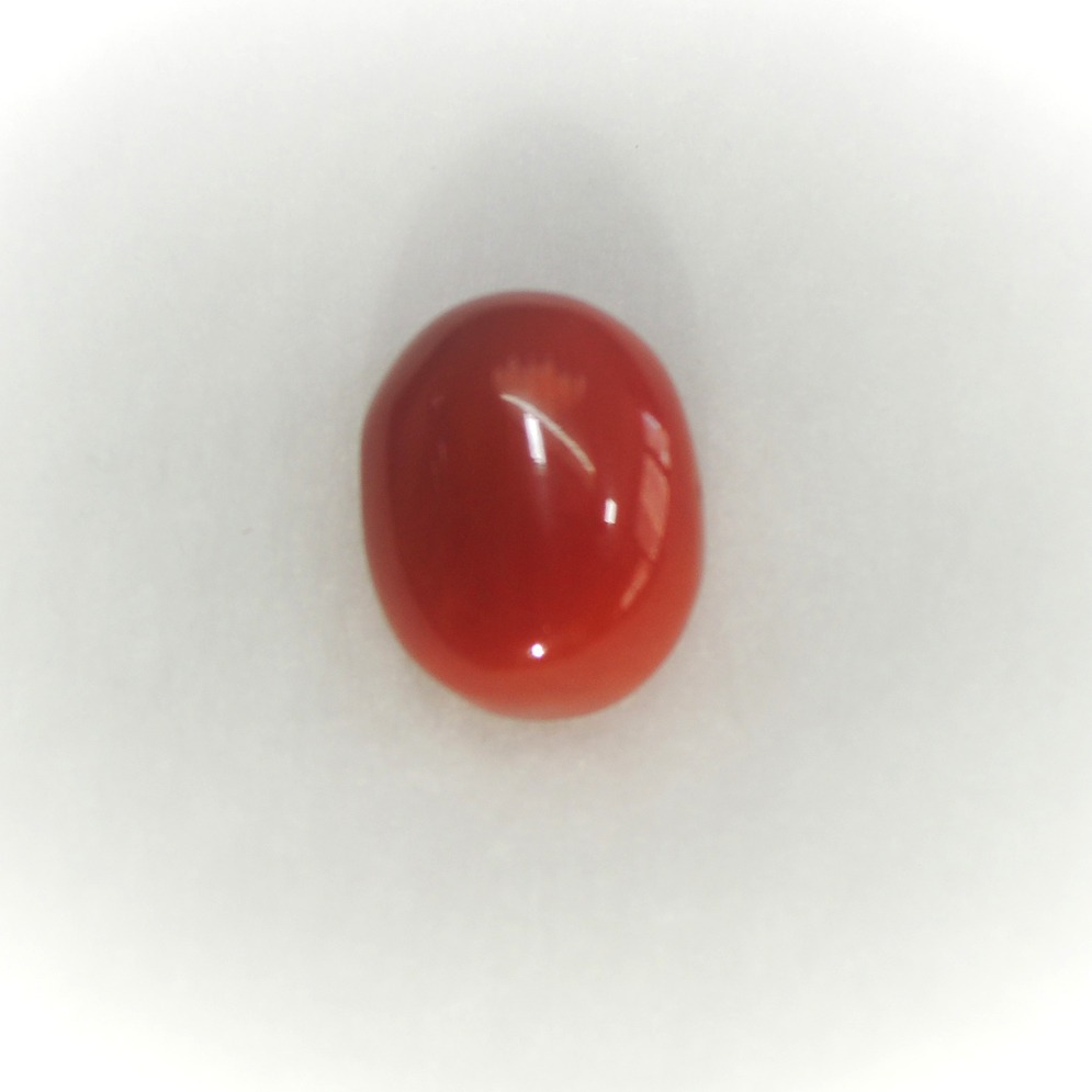 3.73ct oval natural red-coral (mungaa) KBG-C004