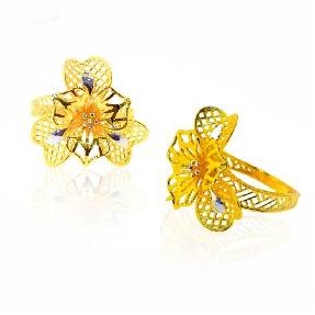Begum collection Natural Classic Ring - Image 2