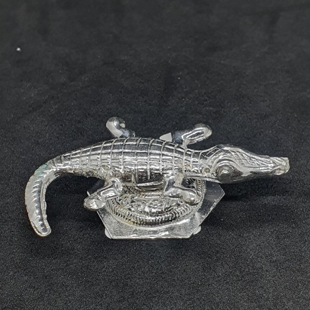 Silver Alligator