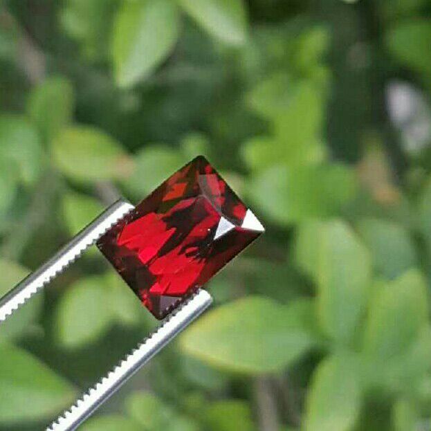 6.40 Cts Faceted Garnet