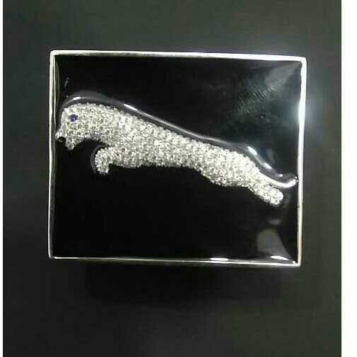 Belt's Fancy Silver Buckle