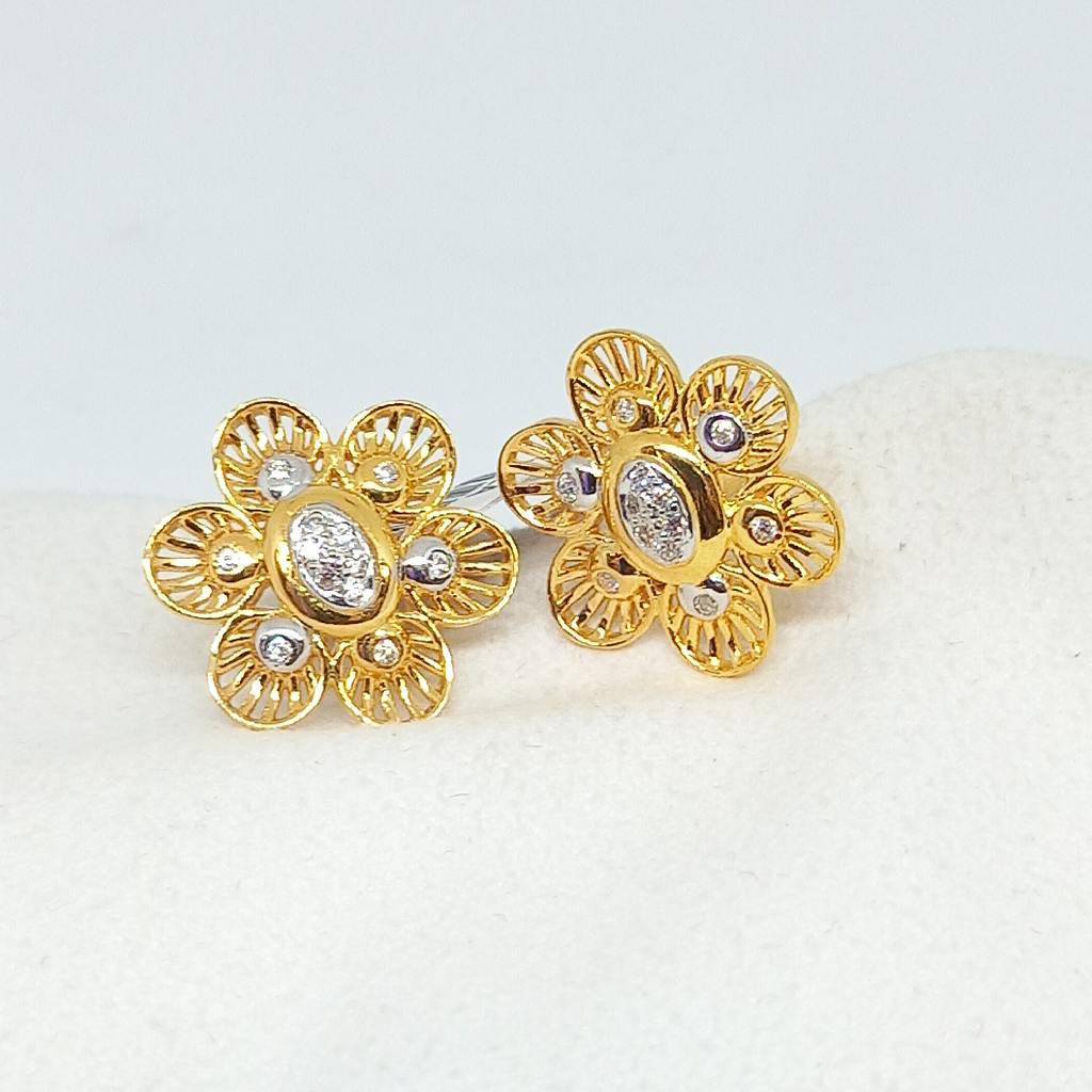 Ladies earrings