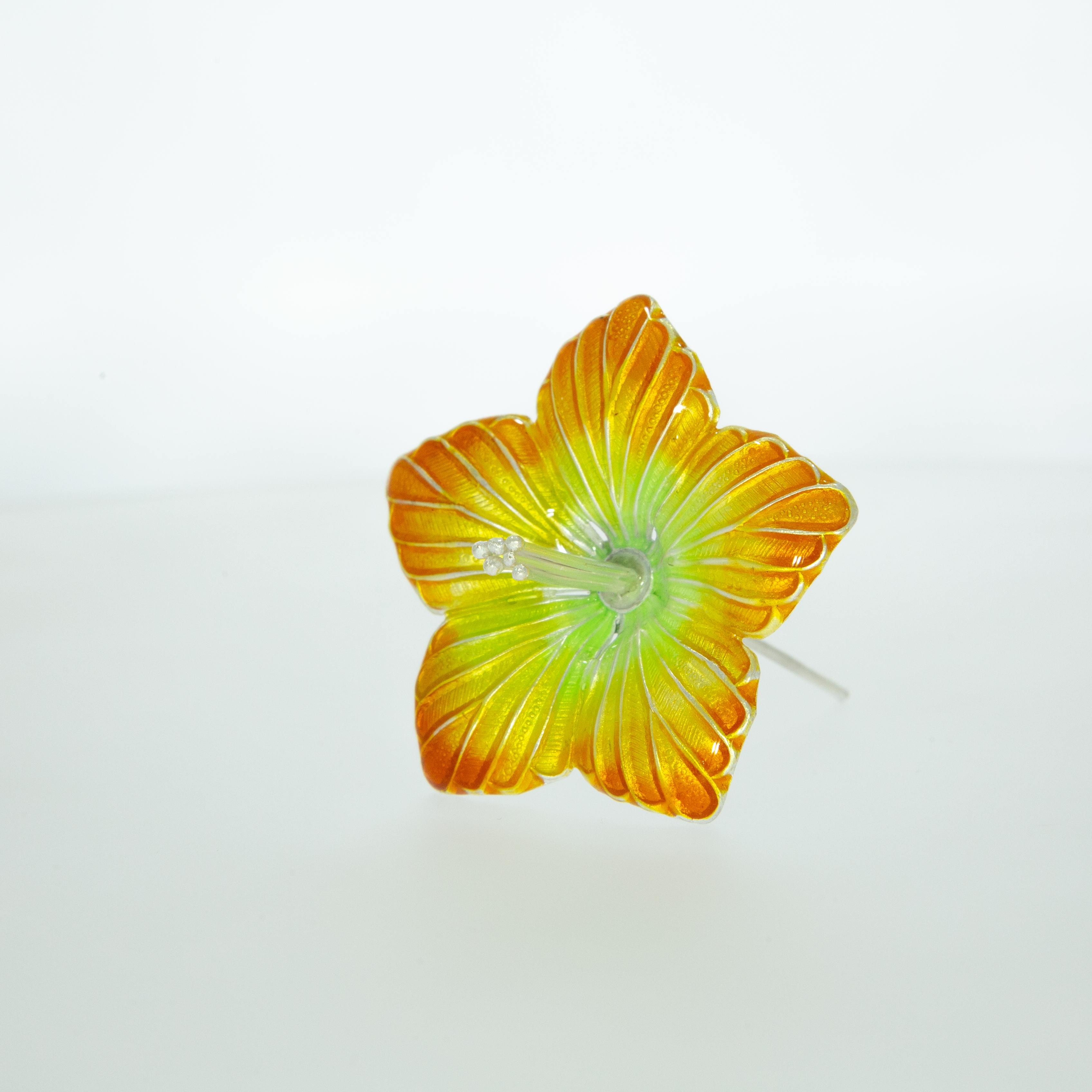 Silver Orange Color Hibiscus Flower