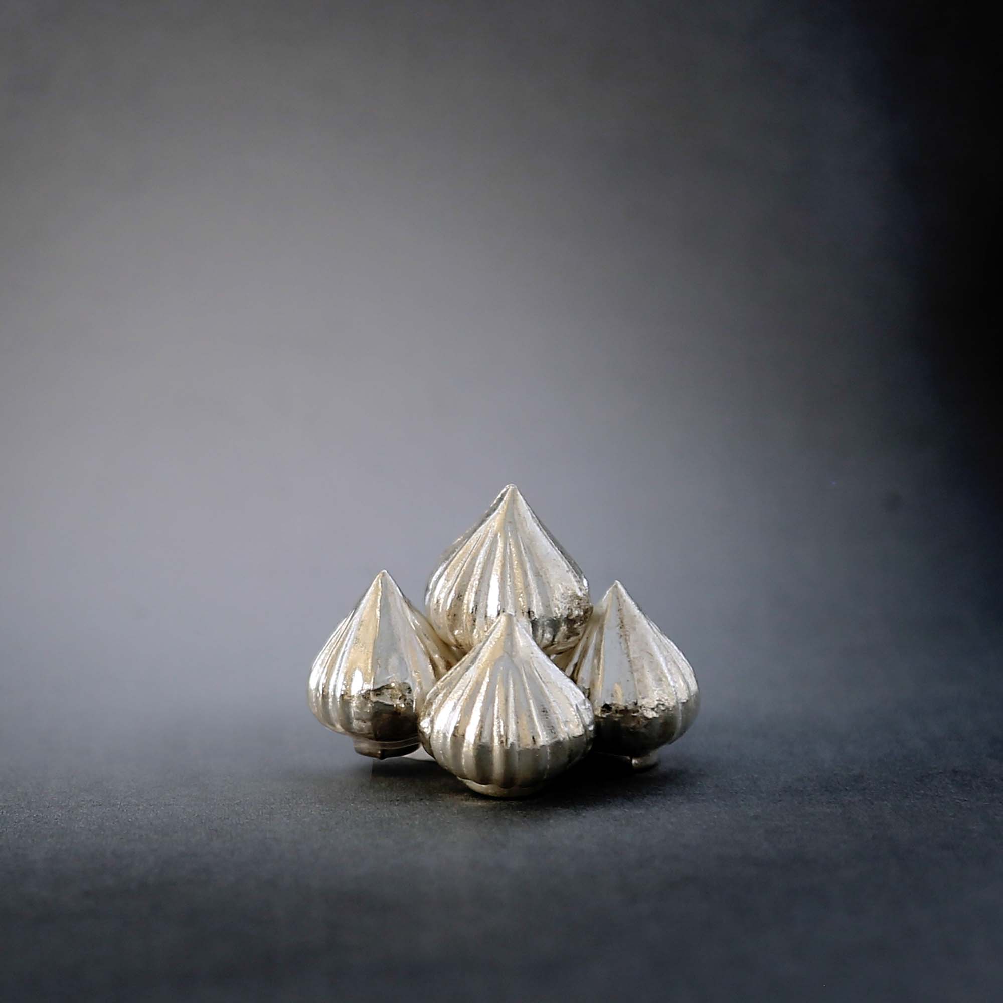 Silver Five Modak Set