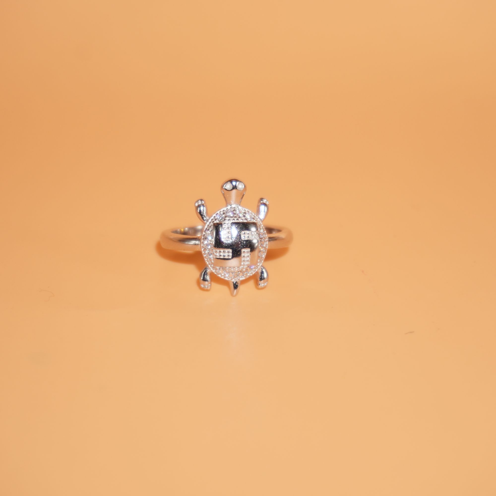 925 Silver Delicate Gents Ring 1378R4
