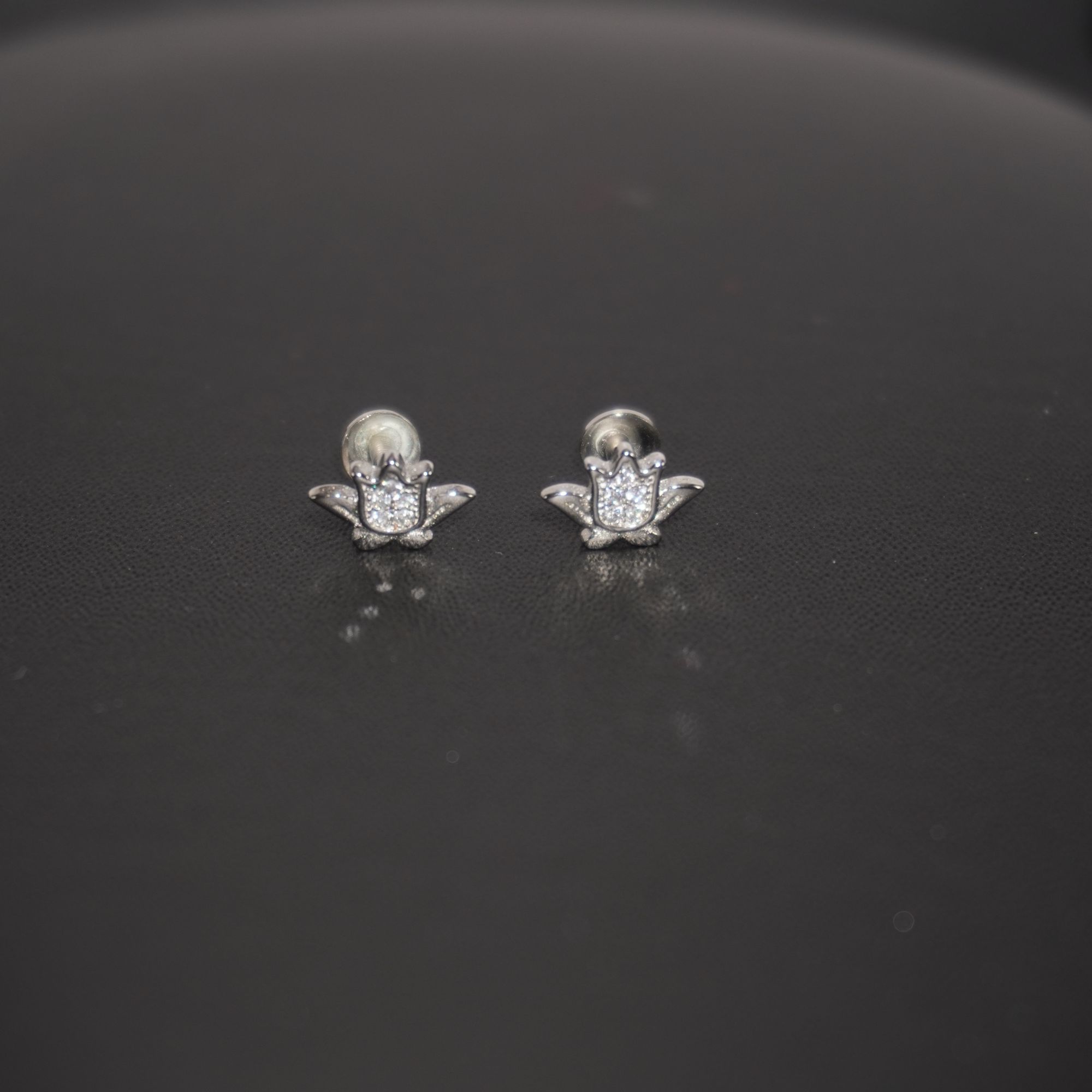 925 Silver Fancy Tops Earring 166R28