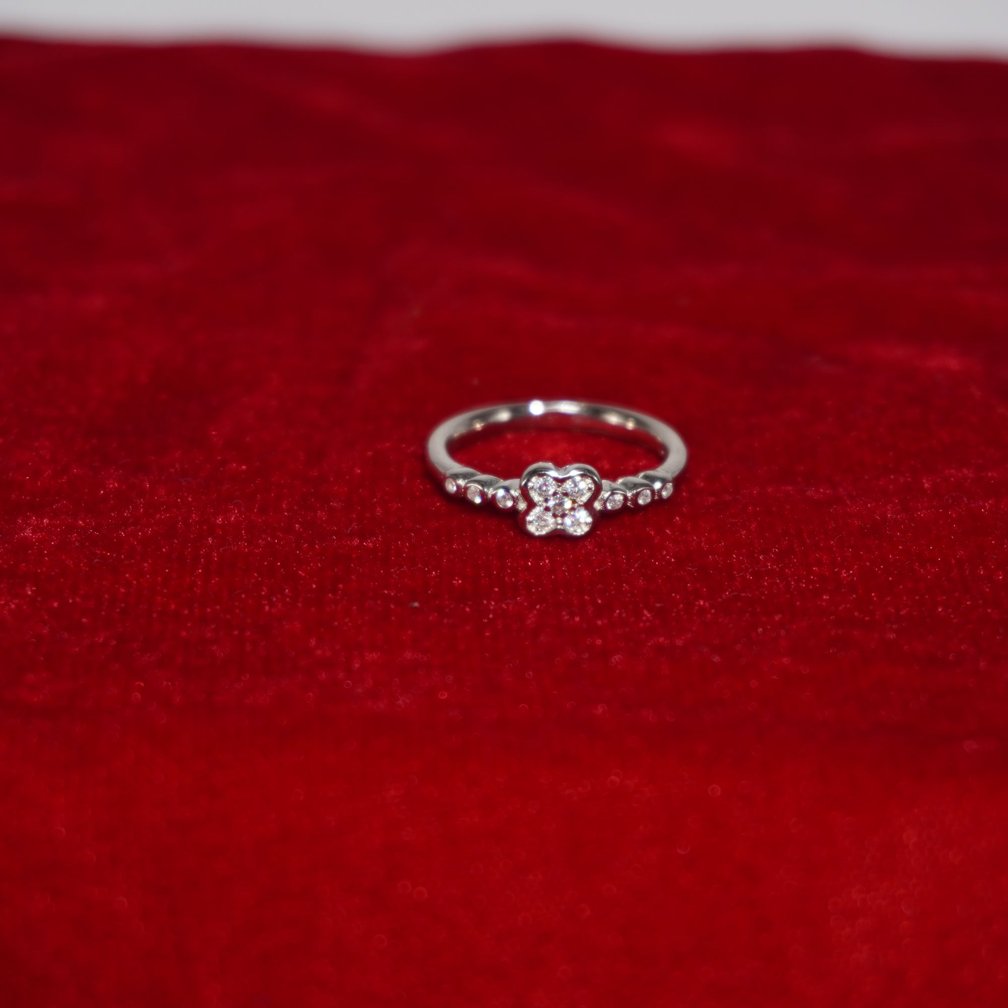 925 Silver Gorgeous Studed Ring 763R14