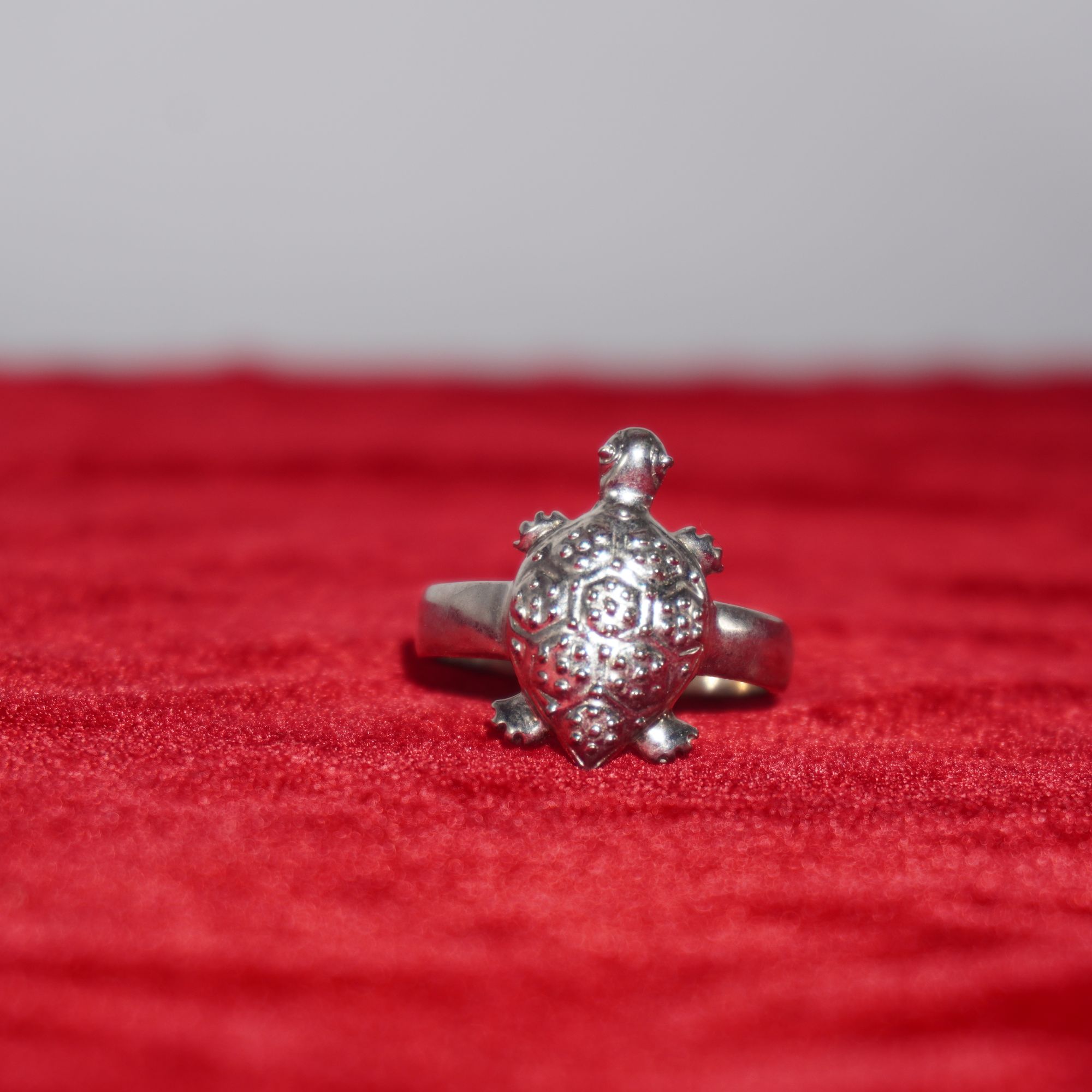 925 Silver Gorgeous Studed Ring 223R69