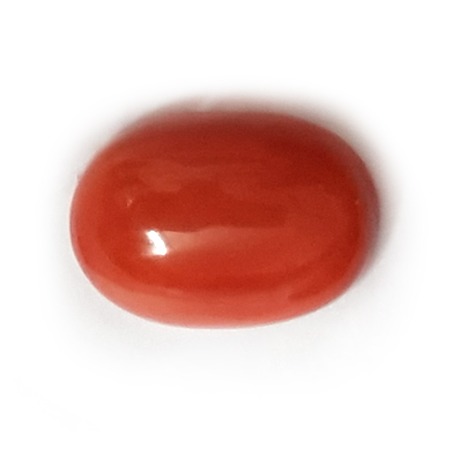 10.15ct oval single red-coral-mungaa