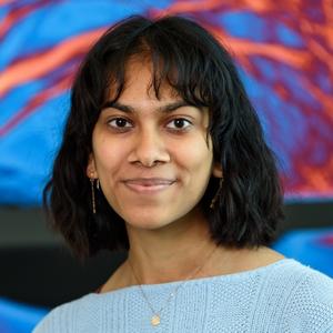 Sowmya Narayan