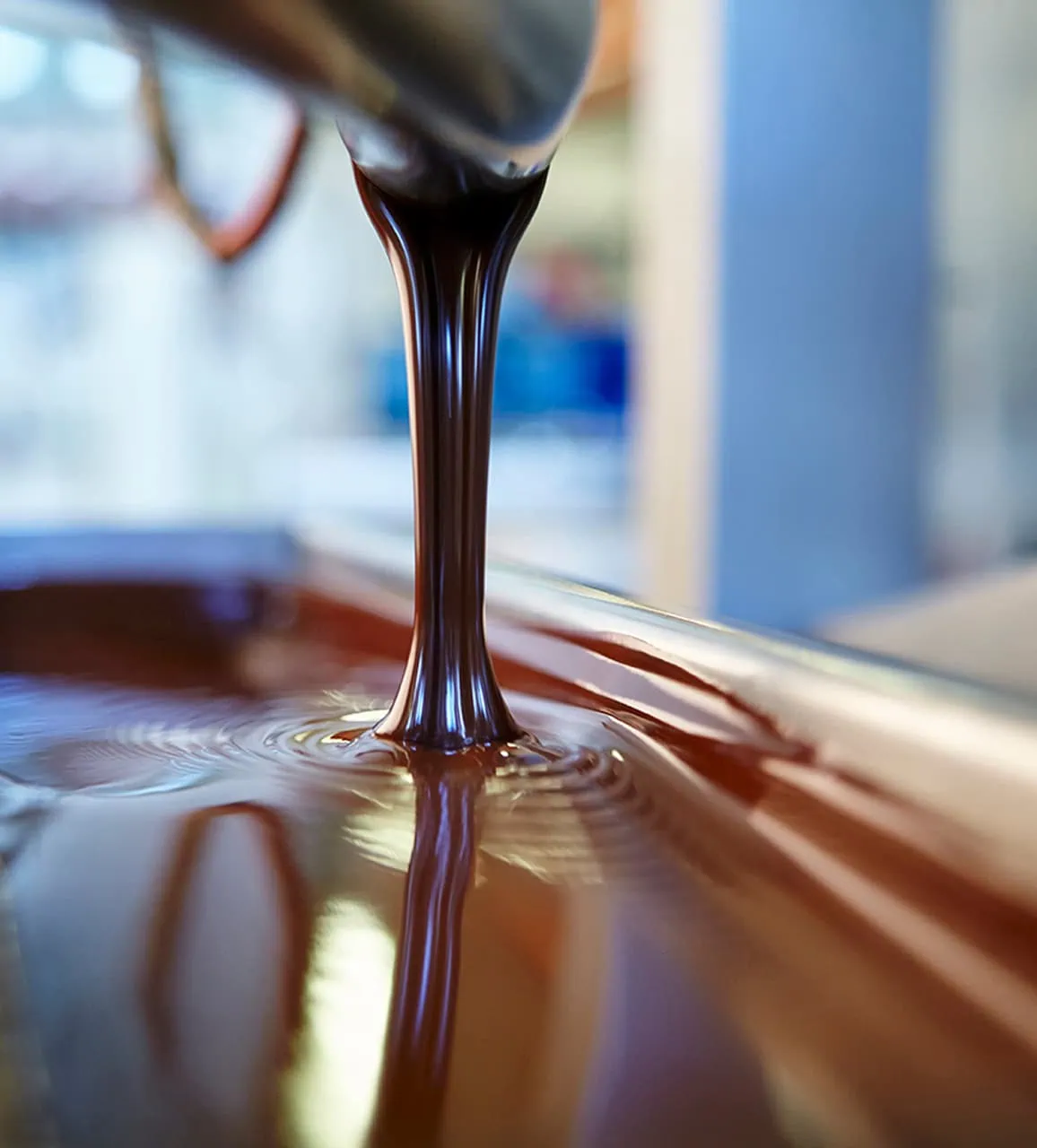 Sustainable cacao farming and chocolate making process in Tuscany