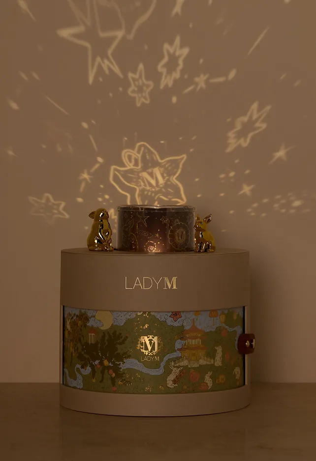 Moon globe projector casting star patterns above the Moonlit Reverie gift box