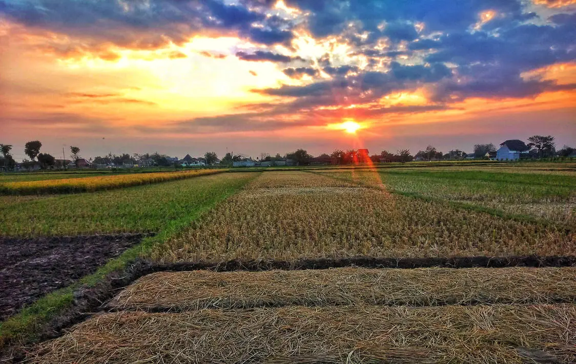 5 Passionate INFP Characters Who Inspire Change