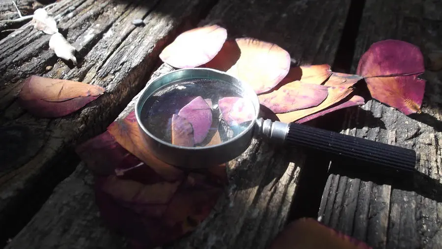 The Making of a Fire Mystery Romance Novel