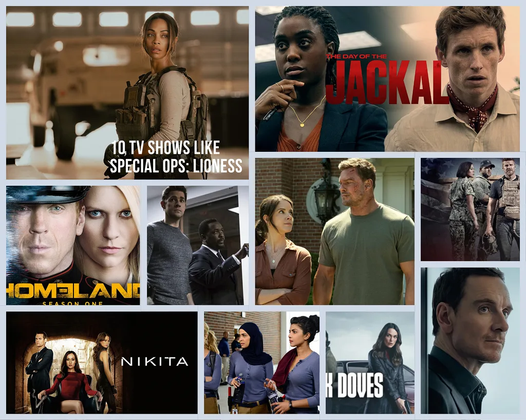10 TV Shows like Special Ops: Lioness