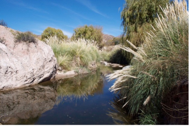 A pure snowmelt stream in northwest Argentina
