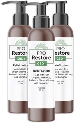 Pro Restore