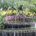 Singapore-botanic-gardens-2972